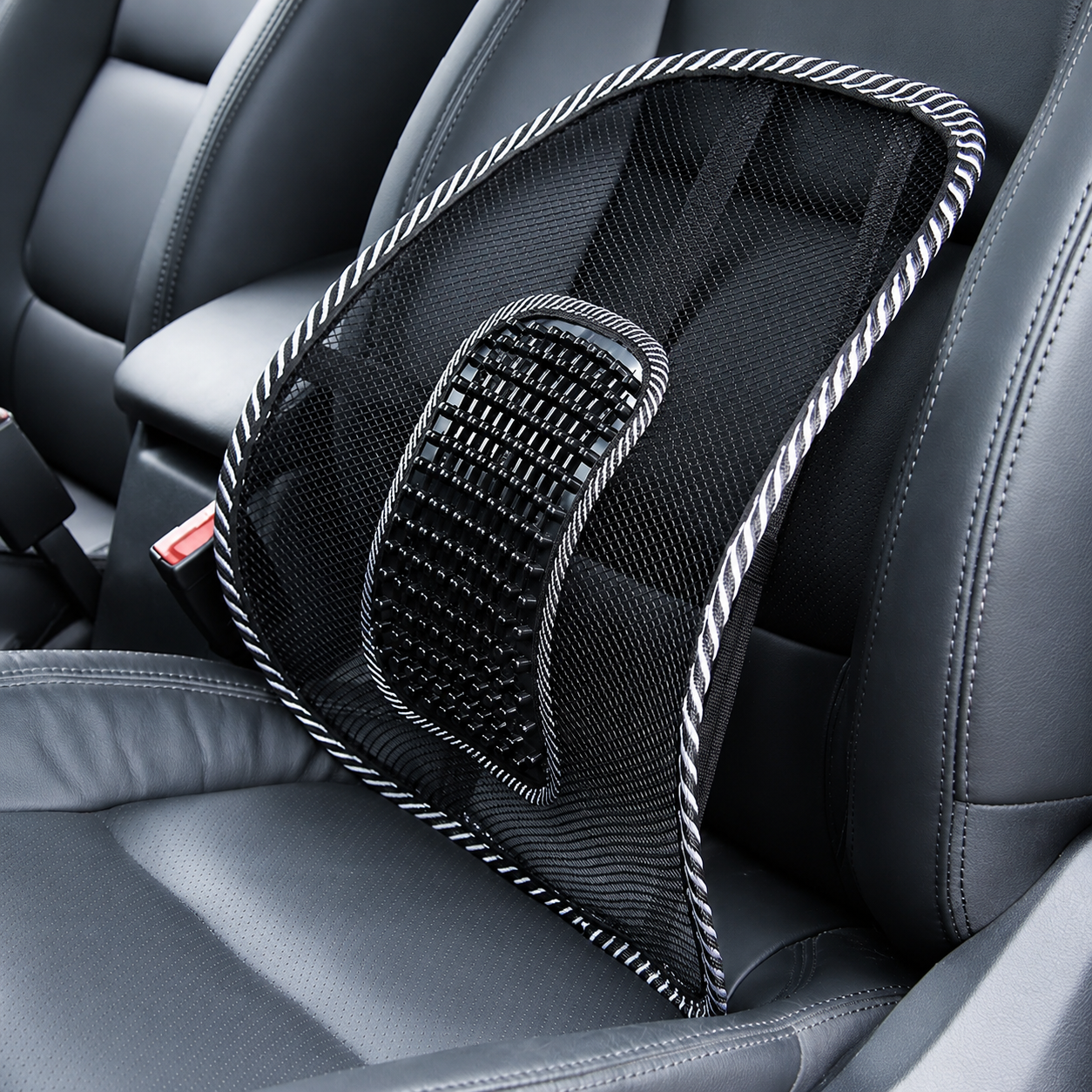 Mesh Lumbar Support in Car Interior
